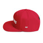 HOOPFEENS Snapback